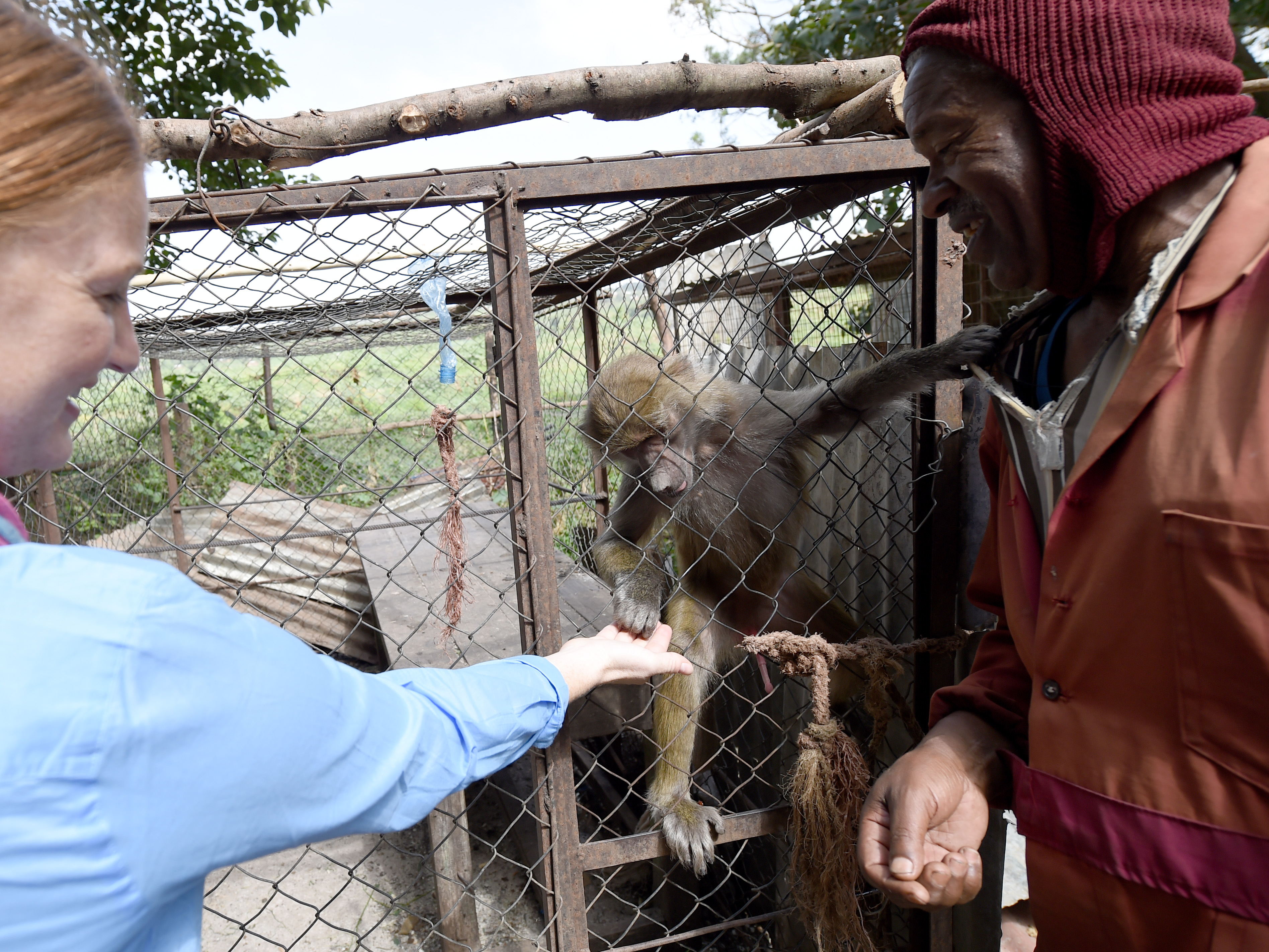 Ethiopian university, civil affairs team discuss veterinary medicine