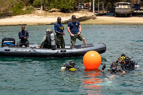 DVIDS - Images - French Armed Forces join CJTF-HOA for casualty care [Image  5 of 6]